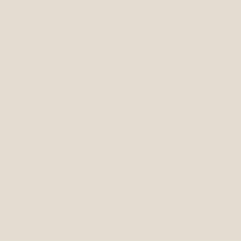 Bone.webp