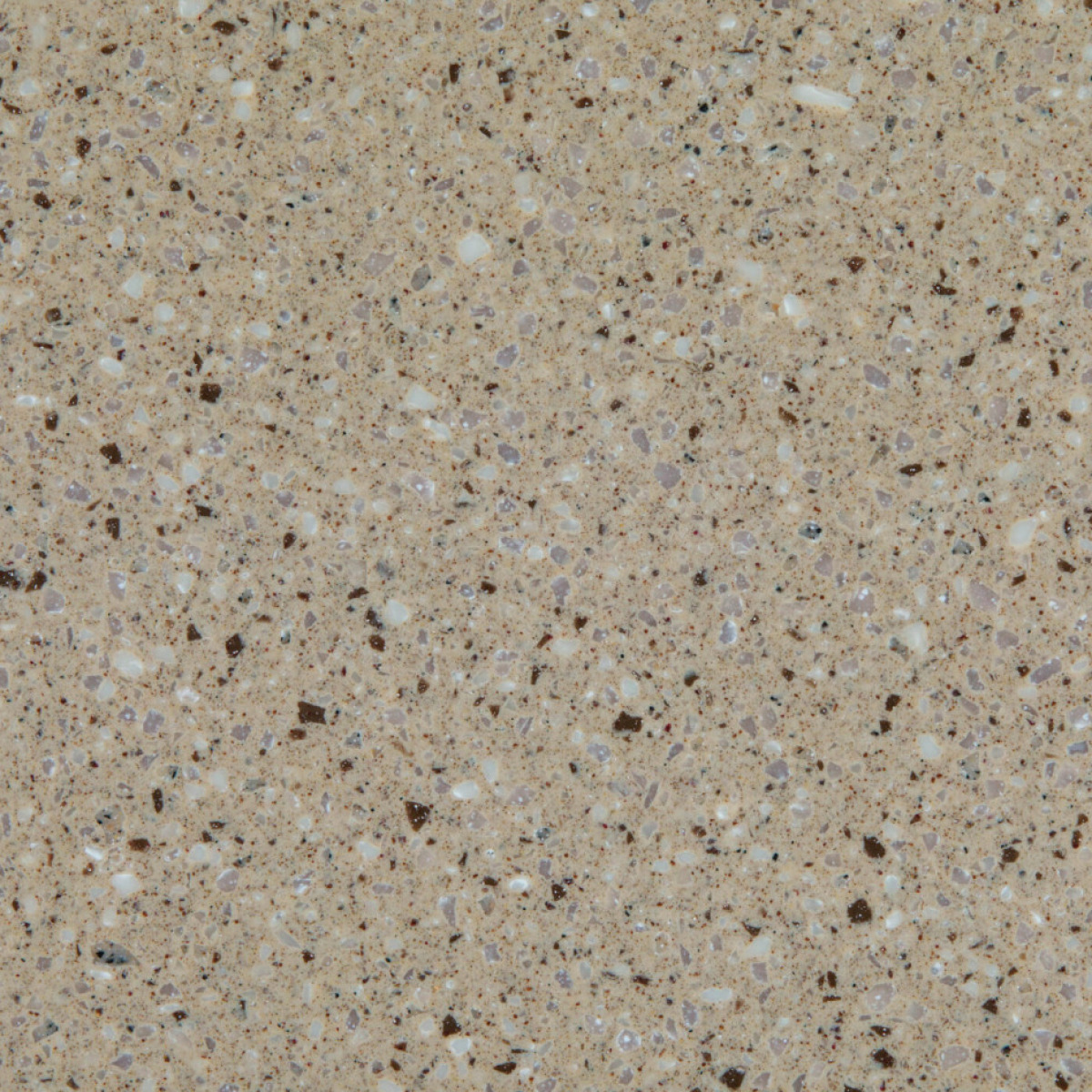 PM 879 Collina Mirage scaled 1