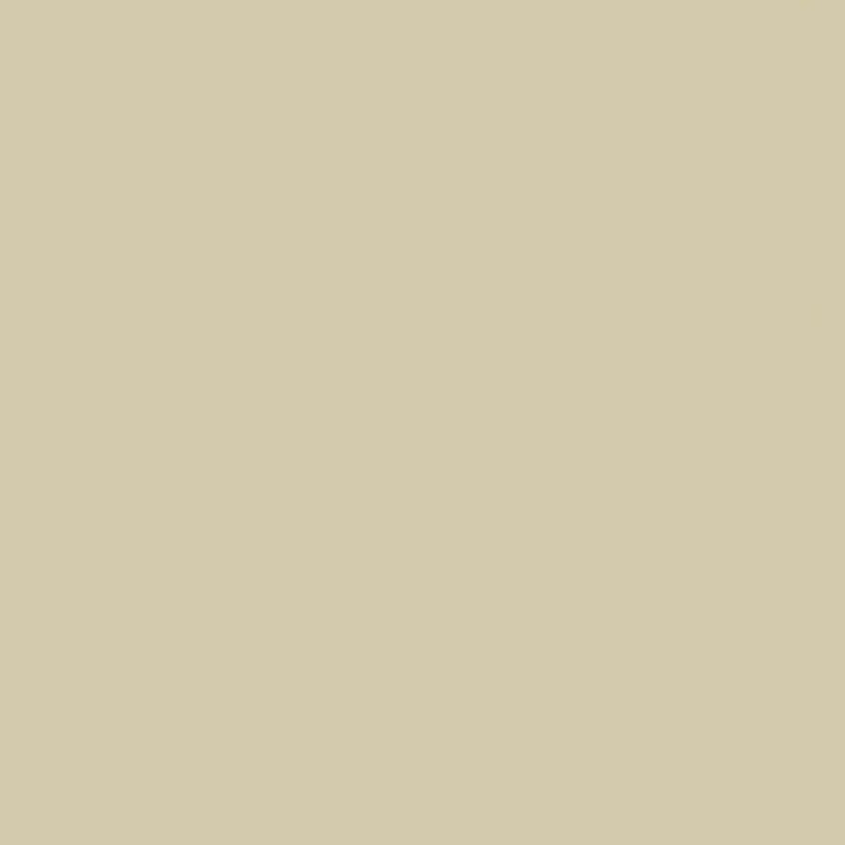 Bone beige kitchen worktop Bone beige kitchen worktop