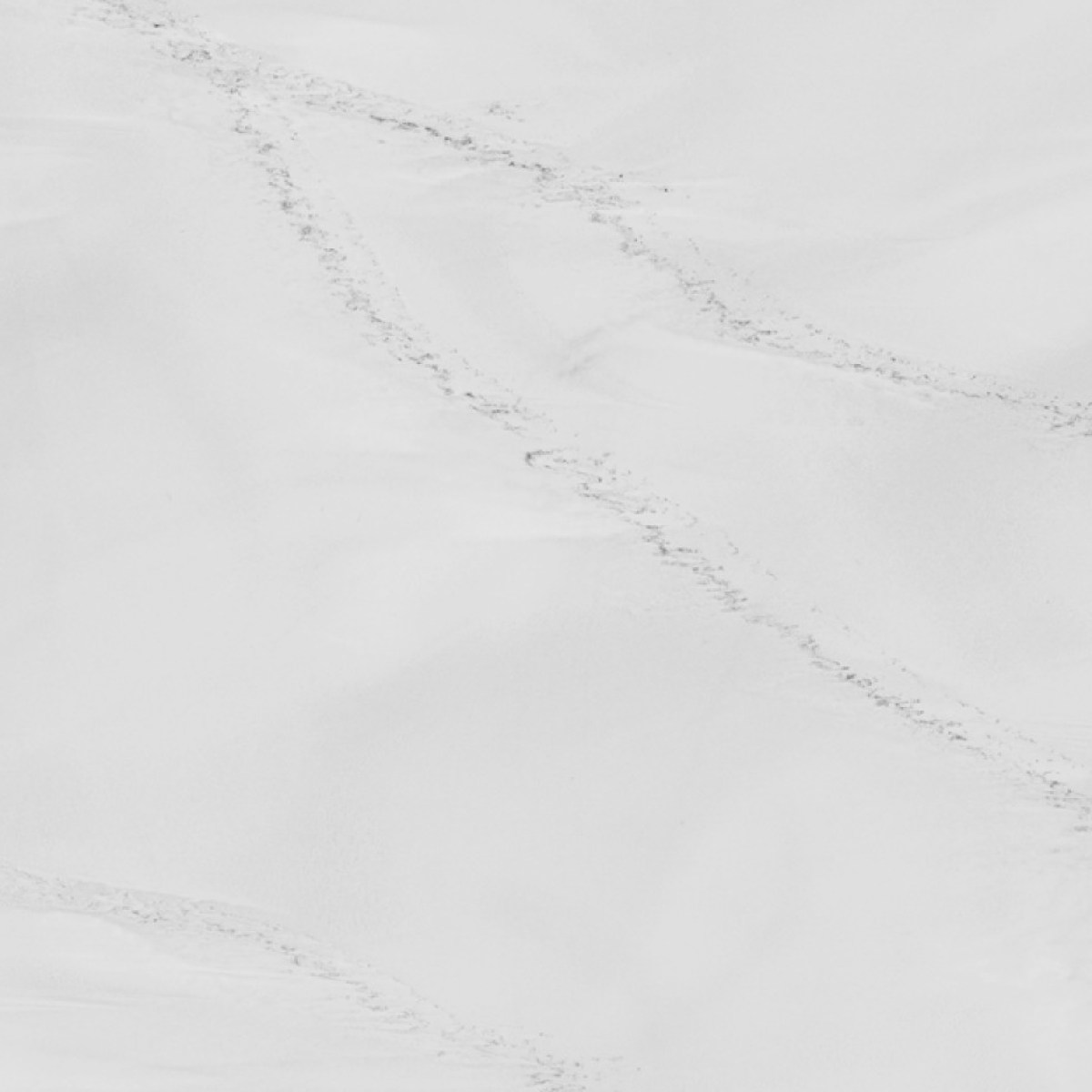 Venato Blanc (4)-small Venato Blanc (4)-small
